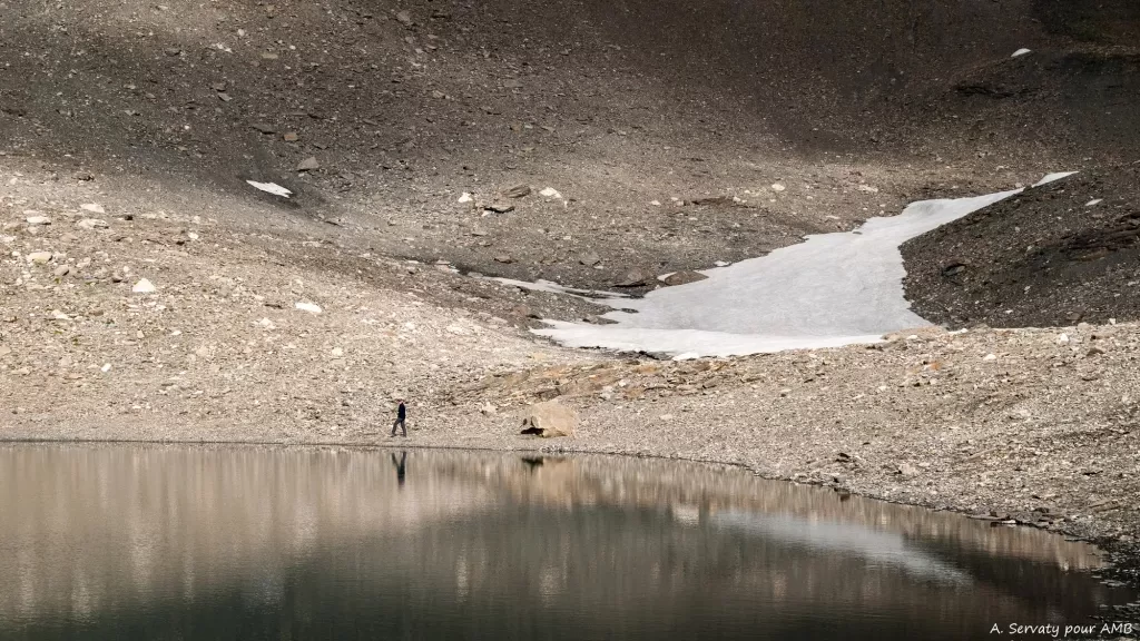 media-library92c2q07j4efr6nuafME