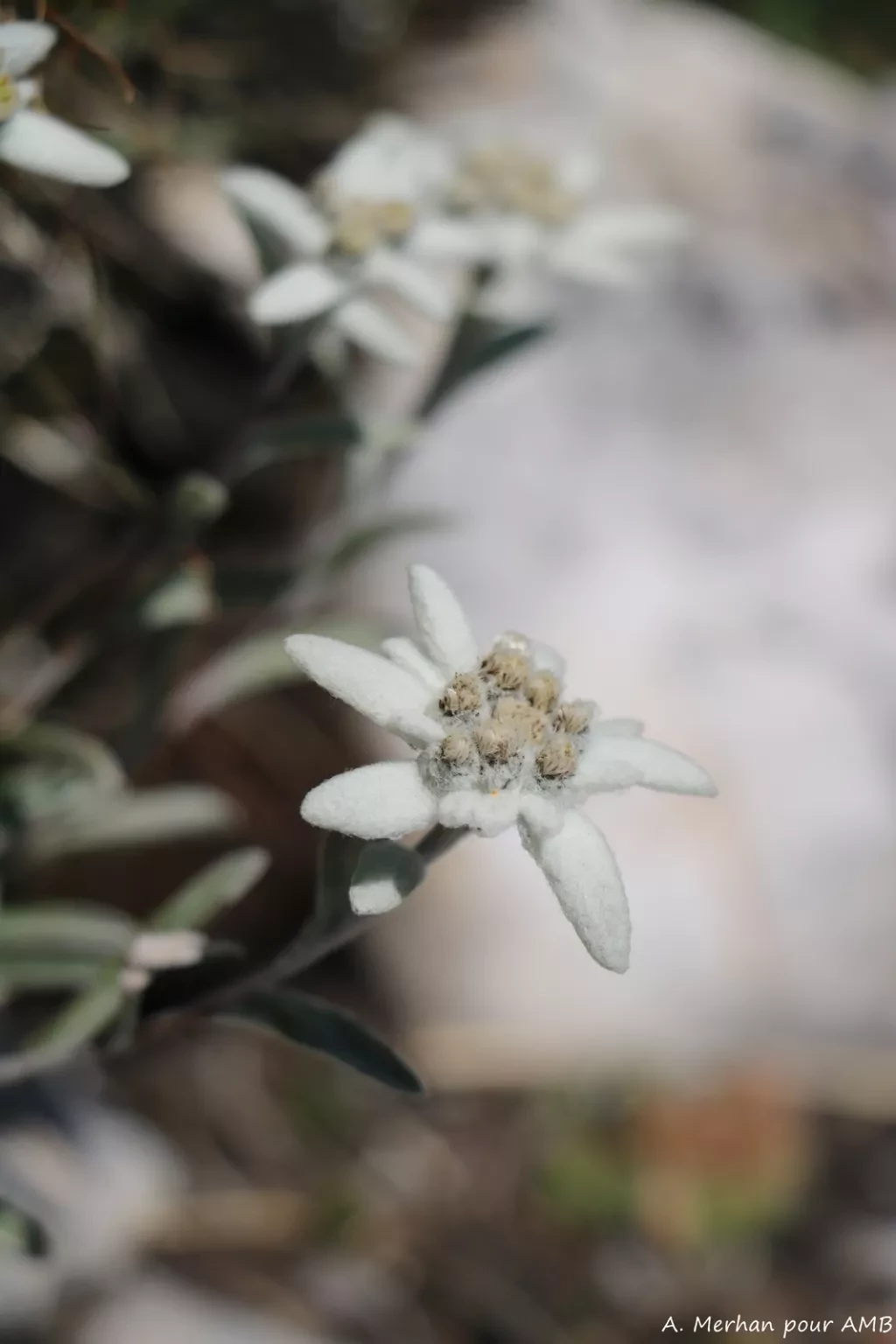 media-libraryg46v1lukkdbc1R82p4E