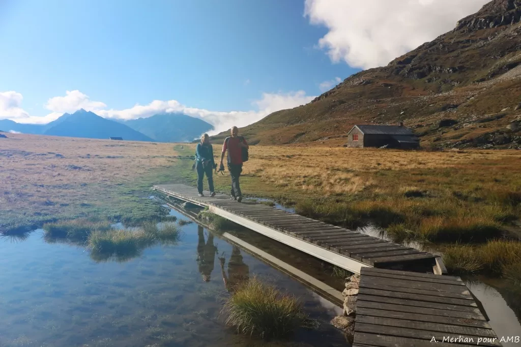 media-library7r6bd0s52ibda5eDKqD