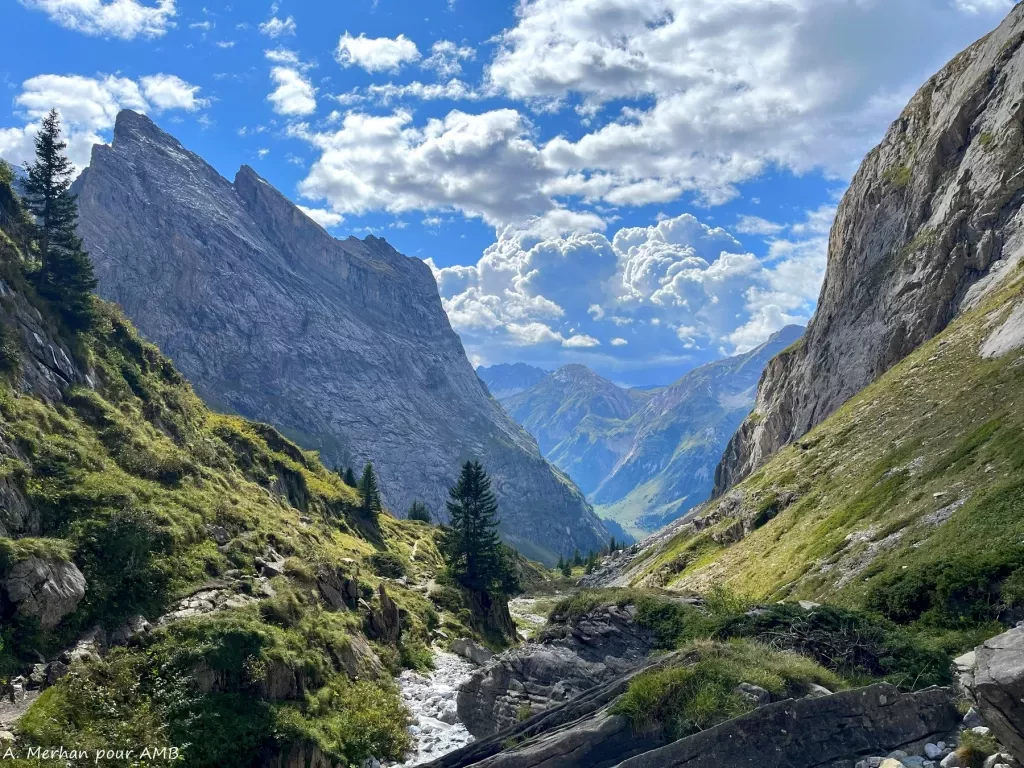 media-libraryivu1q3aibuoo4YdYAXE