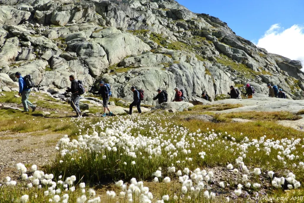 media-library28531v6la6v13VZJjJF