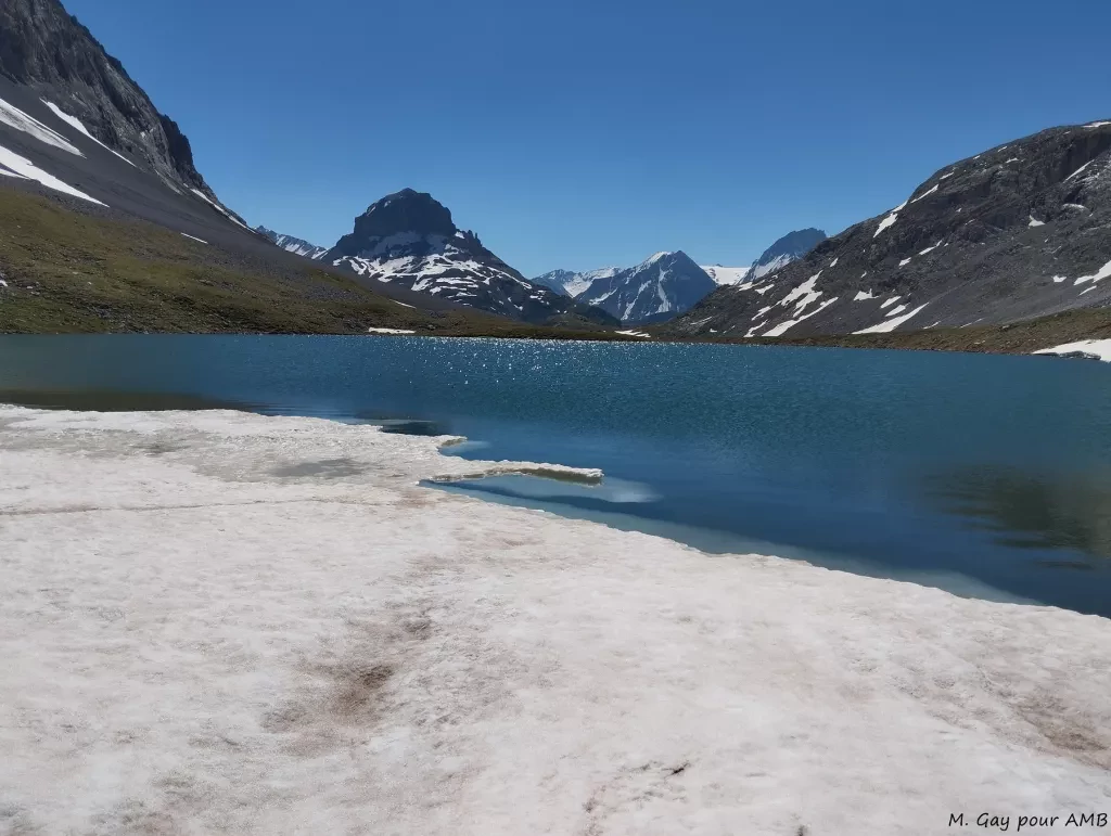 media-libraryplso48ucc8dgdO4qXKD