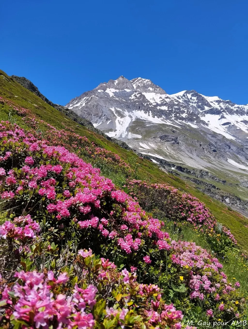 media-libraryua0ekci7l9ebfC6NNRC