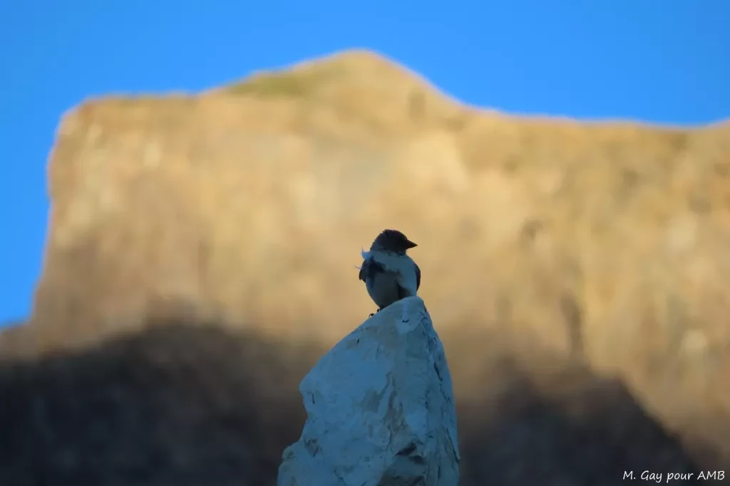 media-librarysh7epqp90pls2bkcu0E