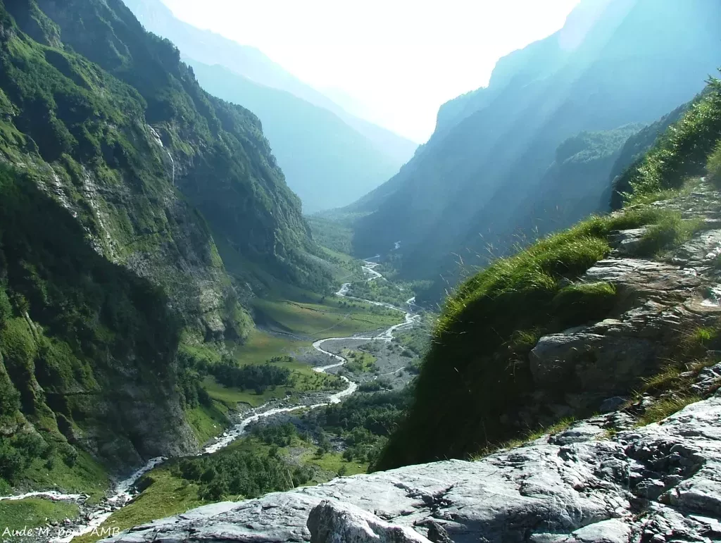 media-libraryer8bk78gu9ncfdft95D