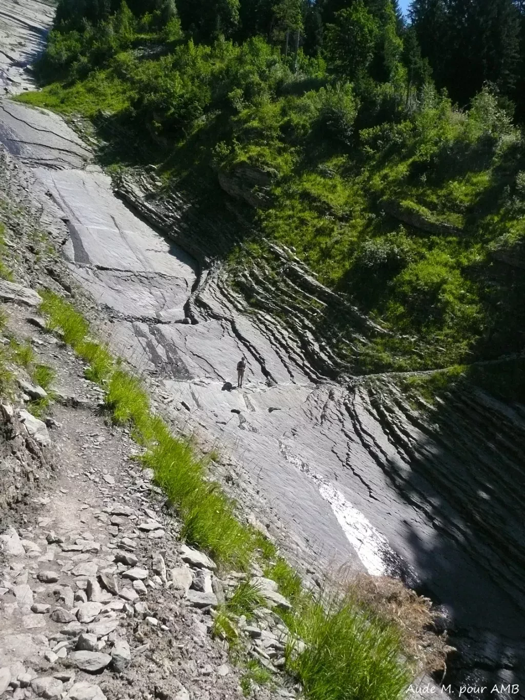 media-library5is2fisl25fe2q7BMZB