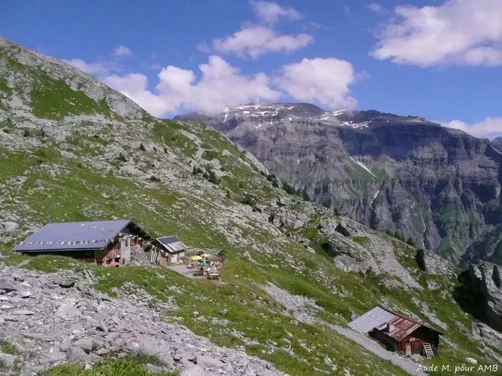 media-librarylsuircsaru3n9HjfR1D