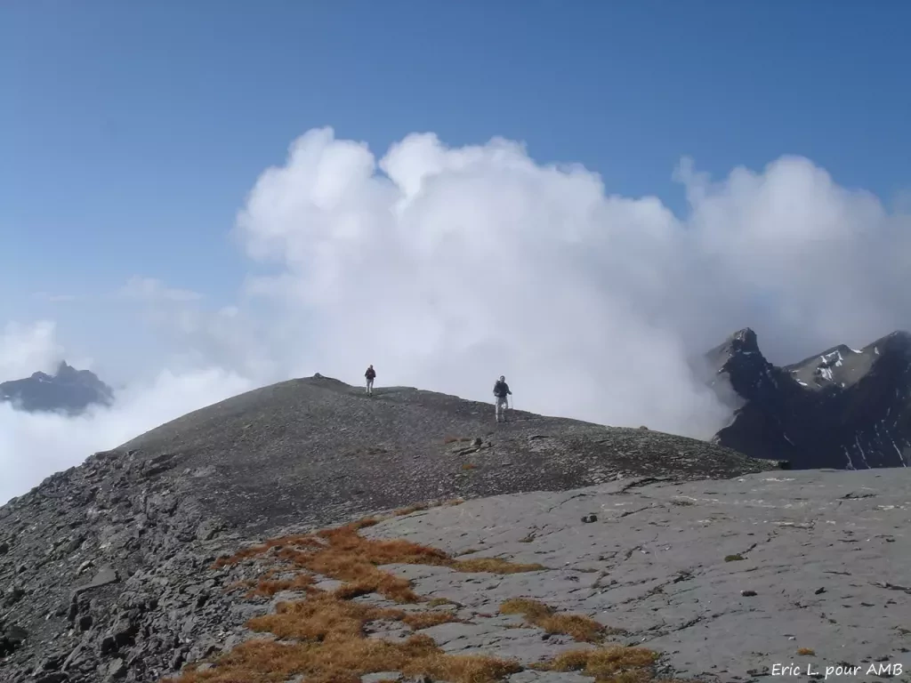 media-librarybsmmjg5pl4506IW9TRE