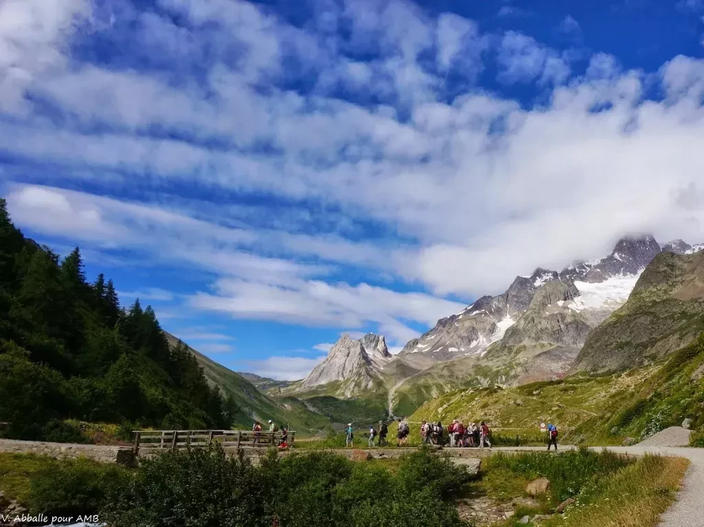 media-library9cv8h8el05b96NzgeED