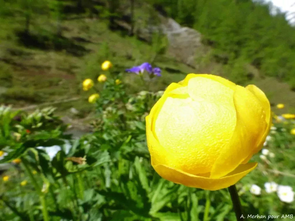 media-libraryelpmapusja94dDFK8WD