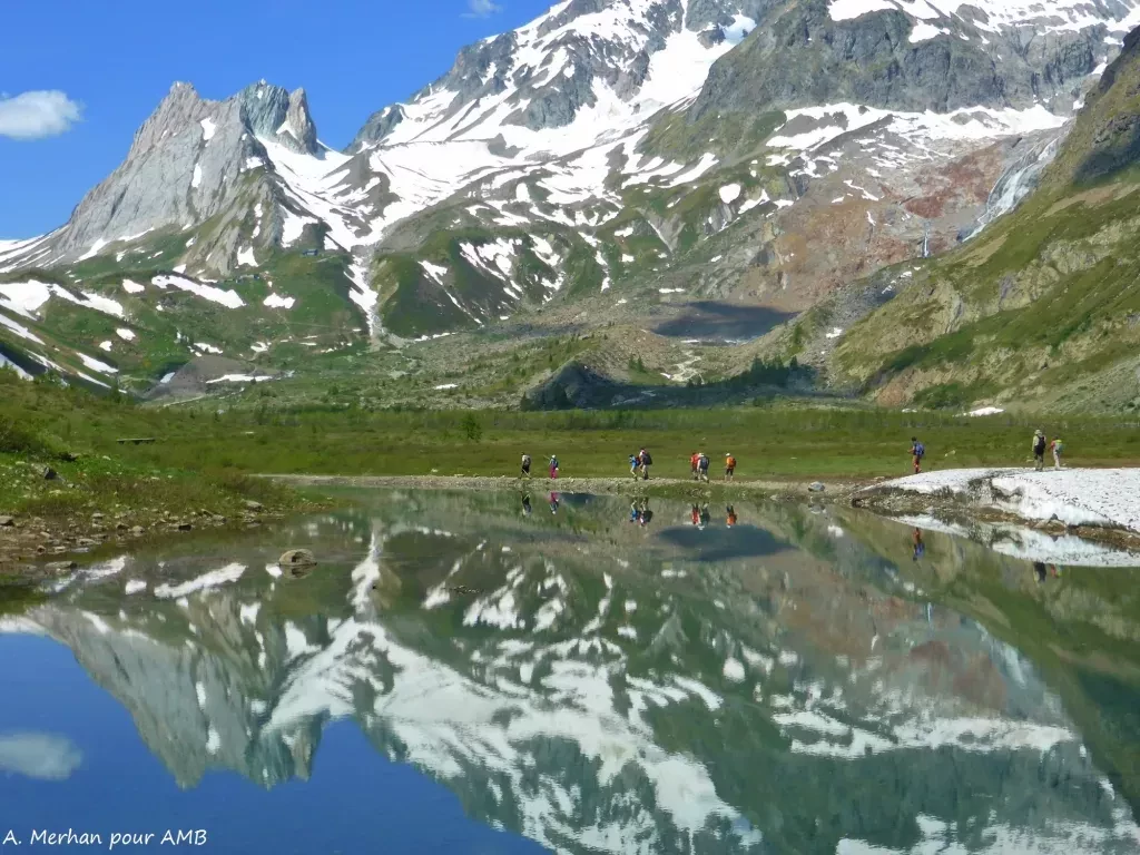 media-libraryn52h7s9mv88u70hgdXE