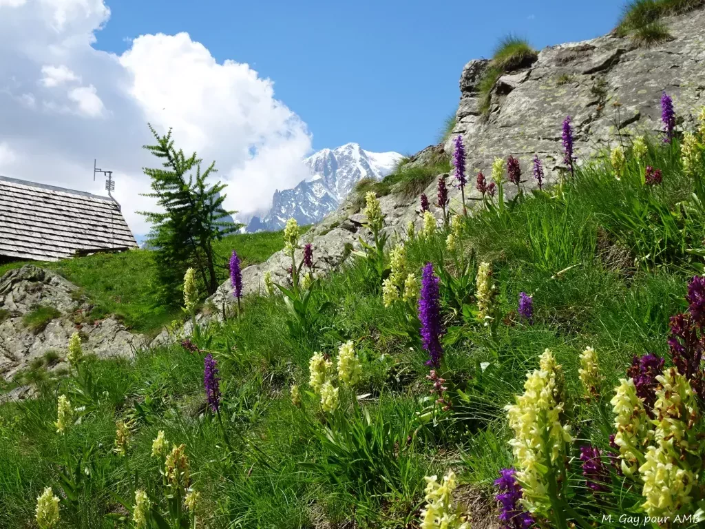 media-libraryht8e8nh7t8km7ZU4jID