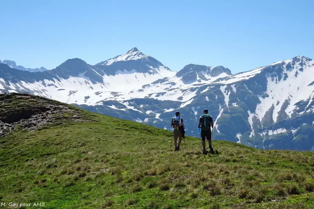 media-libraryc7ta98tjuvdt2MvtZwB