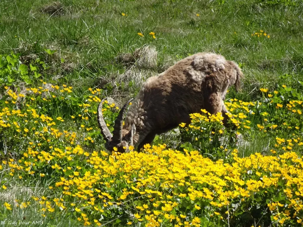 media-libraryp0r2huvm3a4u29Jc9AD