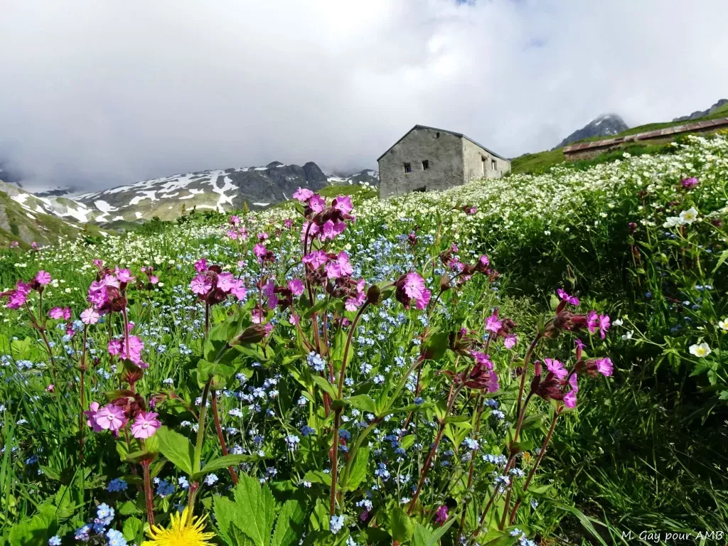 media-libraryhp3kkppmqmpmdxFlhDF