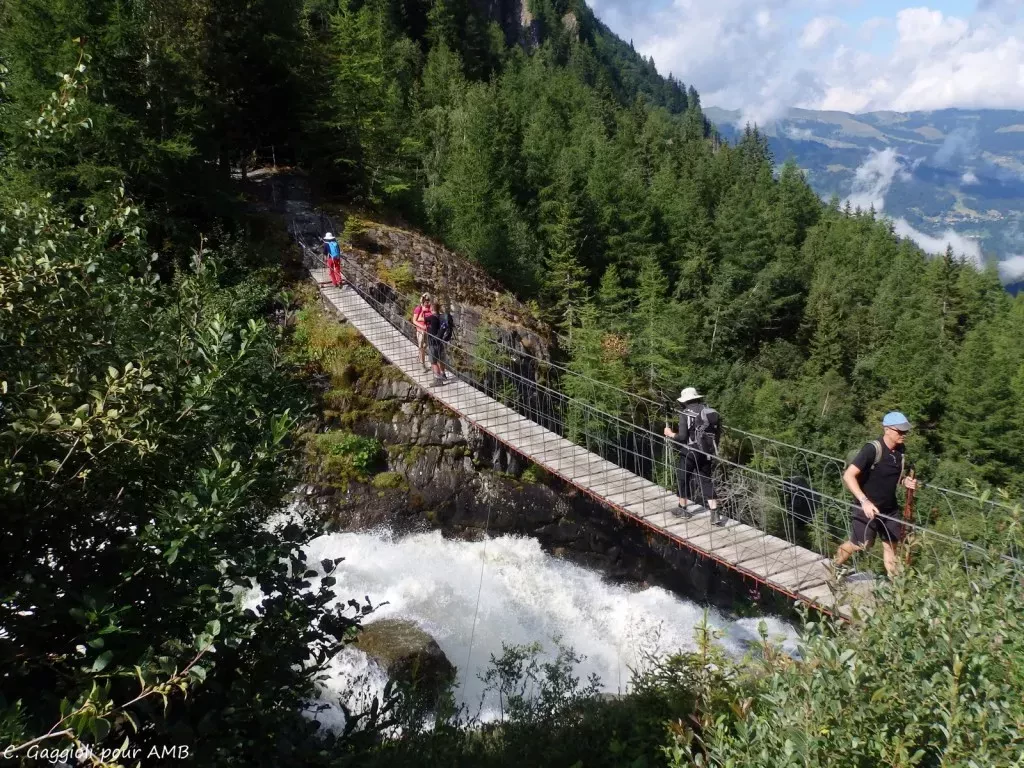 media-libraryqmoott25h5lh3oEGLpF