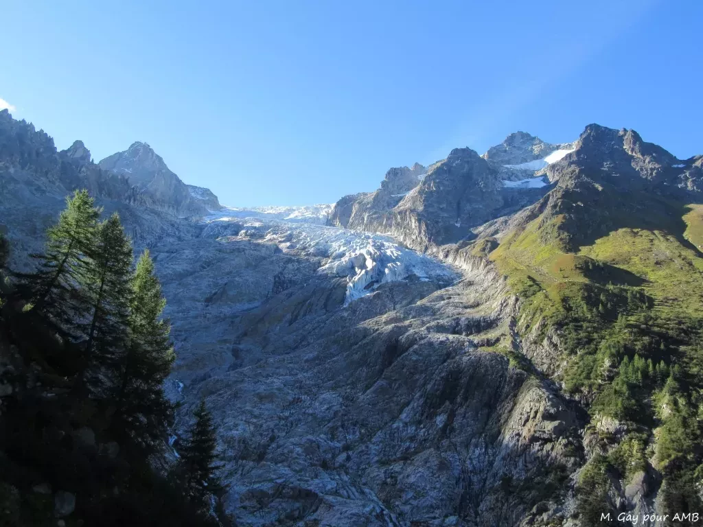 media-library9pt1rdar8bhle1gBnaD