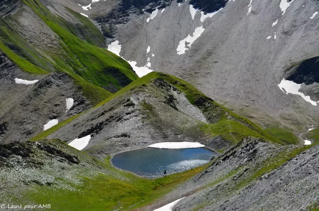 media-libraryjgimnkvjt6iifPFAh8D