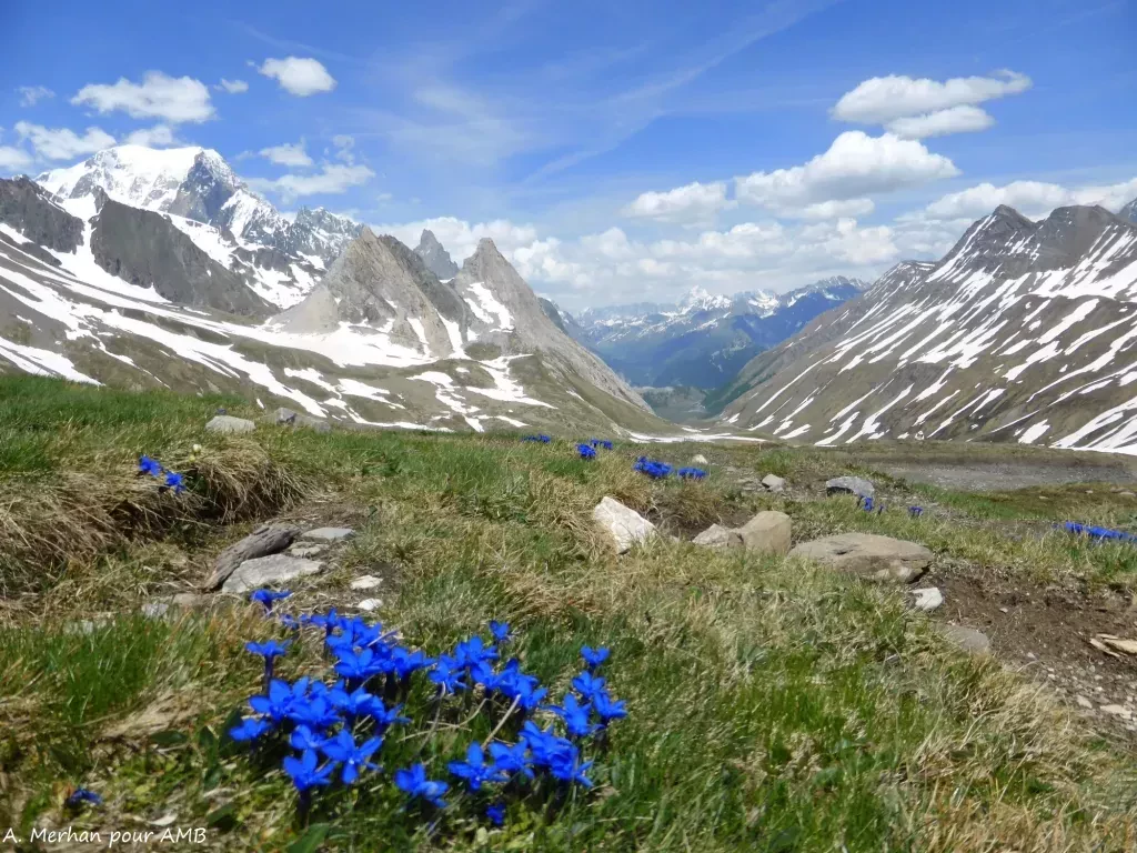 media-libraryus3a9oq80h584Rxh2bC