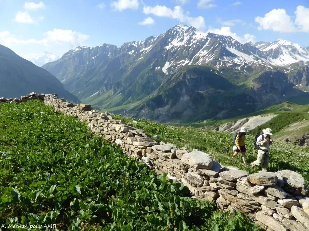 media-libraryah7isq193ejkeGiqIzD