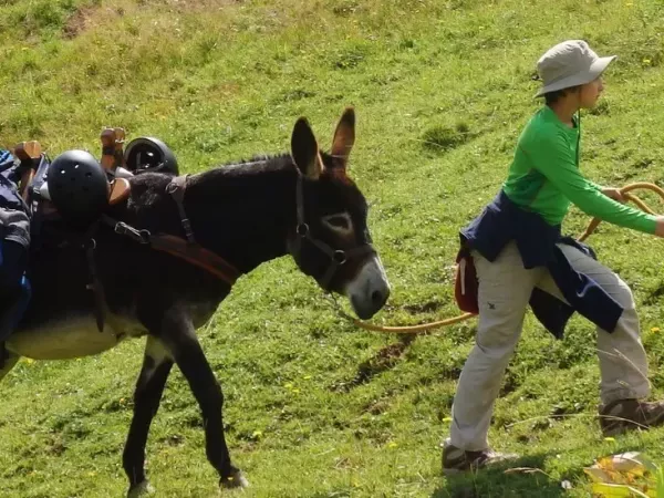 BETWEEN LAKE GENEVA AND MONT-BLANC