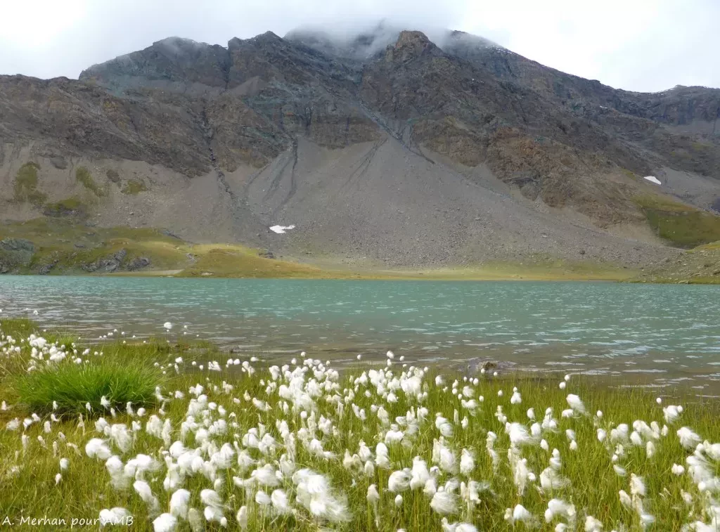 media-libraryp15vev4d08chbb8aofD