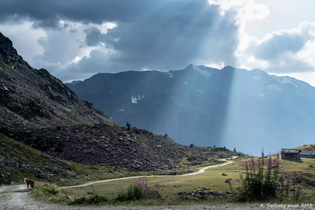 media-librarysen6db0btcgd1G2OhGD