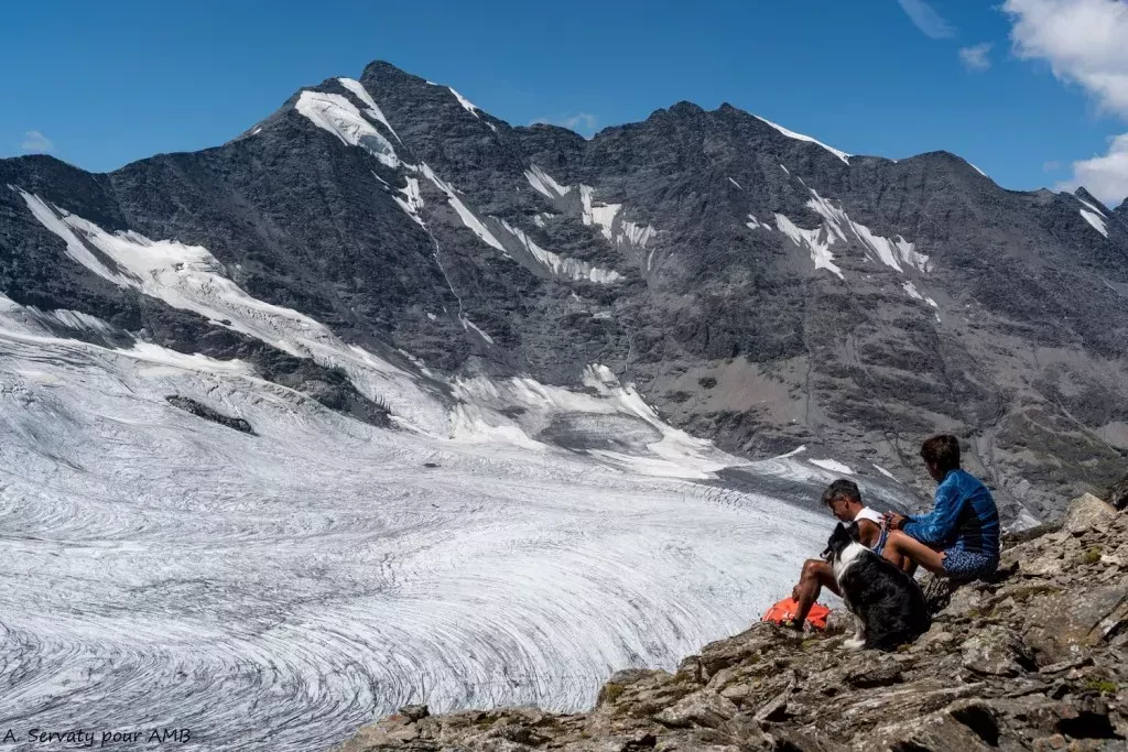 media-libraryp9g69ielsi1idnM7FEF