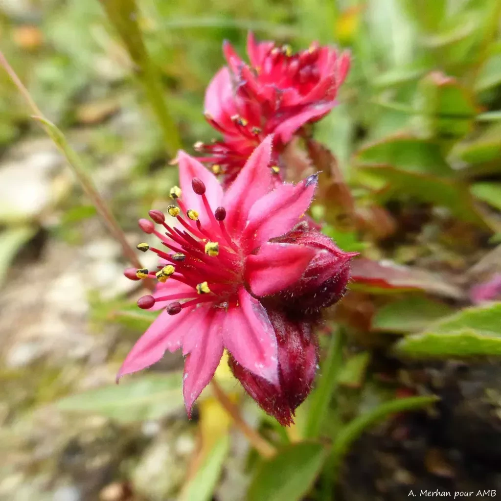 media-libraryo242r60a5ki4fQJ5bYB