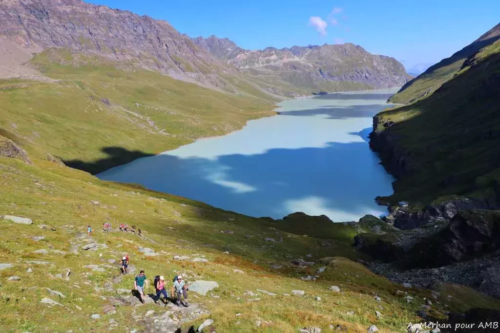 media-libraryc59tag5umj00fLUHysC