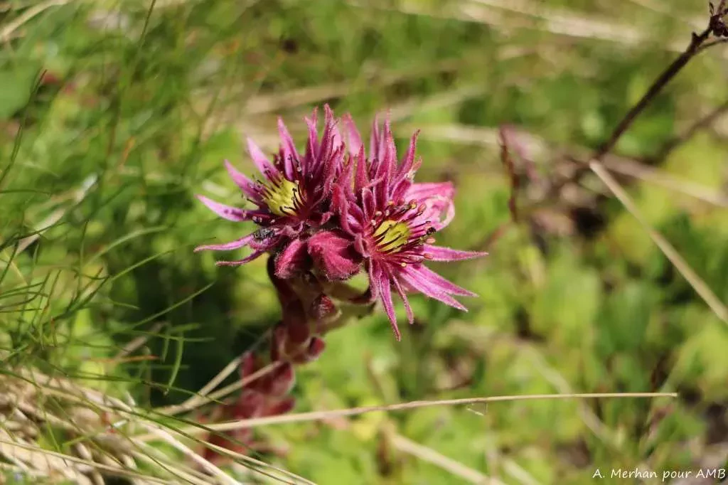 media-libraryjvrq3583prh737e8o5B