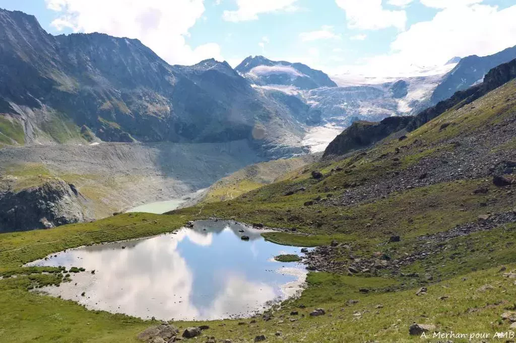 media-librarya8knaiuosi0m5nPt2aF