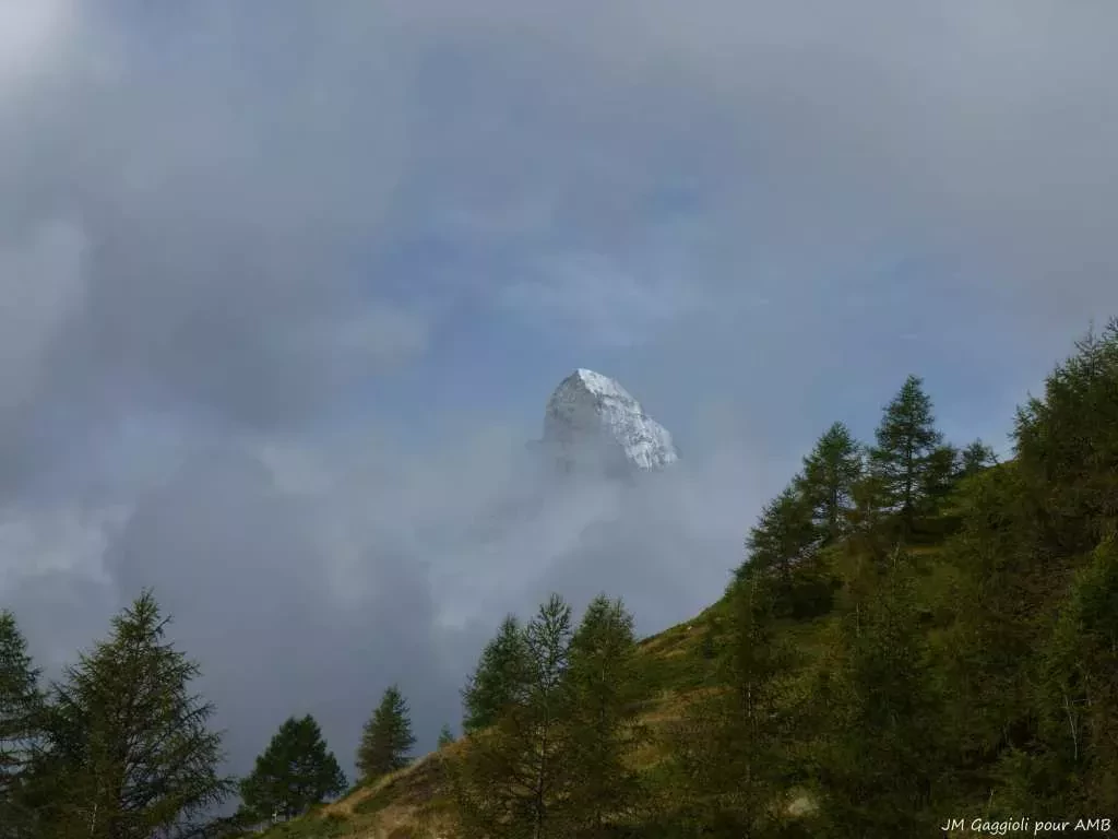 media-libraryi1i3d29rgcf44O9DpeE