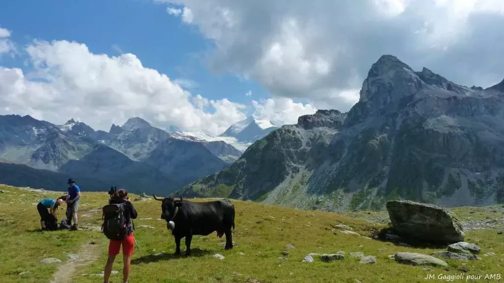 media-libraryq5p3ac8e501c39cNNAE