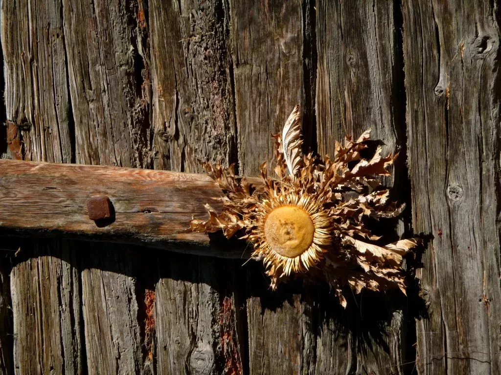 media-libraryl7qdklt444lb5l6uH3C