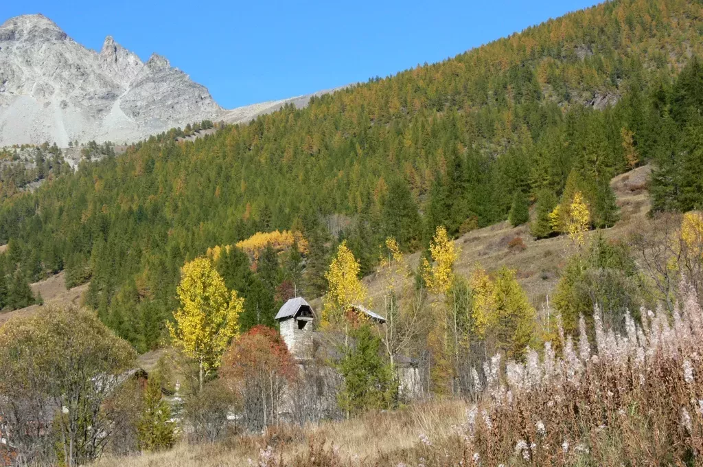 media-libraryavbodpuc5i054vpiNHC