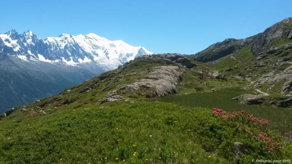 media-libraryrmsnutq9toj1cyfgmbE