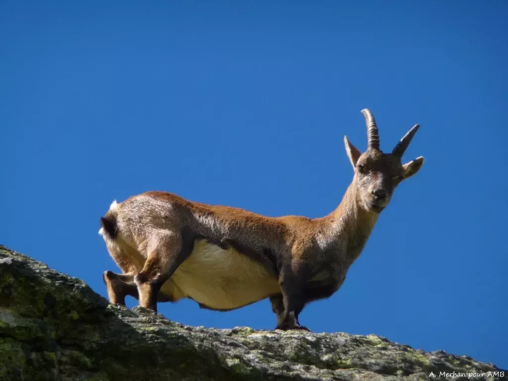 media-libraryhisqk5n498jn3wXlImD