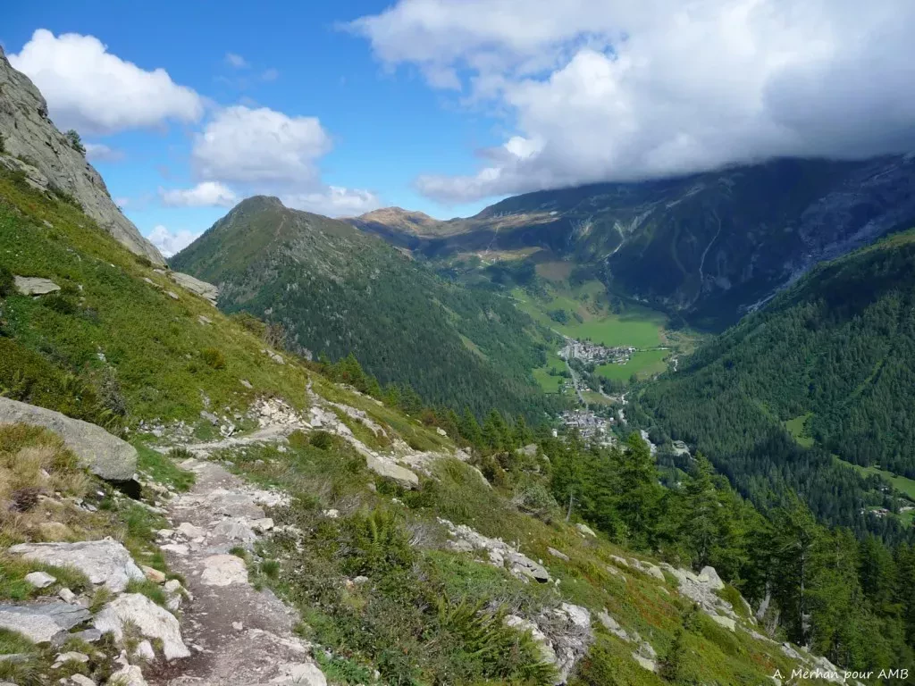 media-library9tbhupdofu4n0IIbHlD