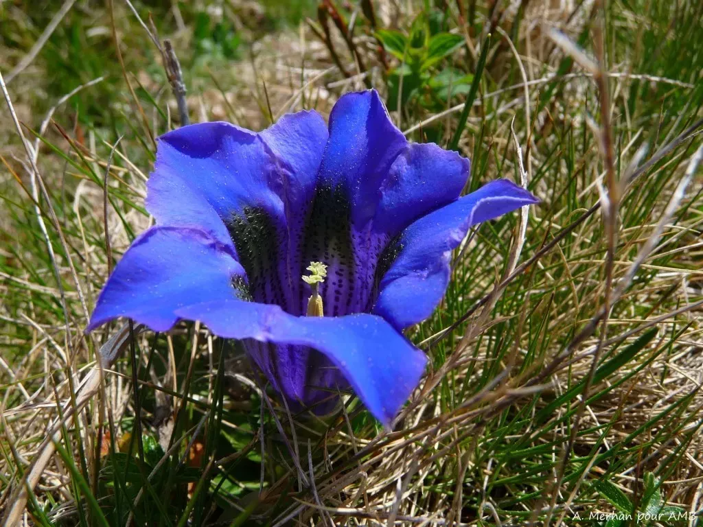 media-libraryt05rl49fpud374x25WE