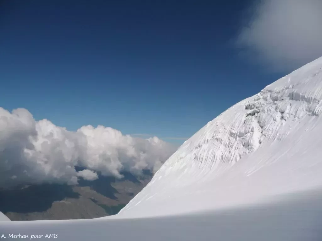 media-librarya8q8ttltpttl3xZftNF