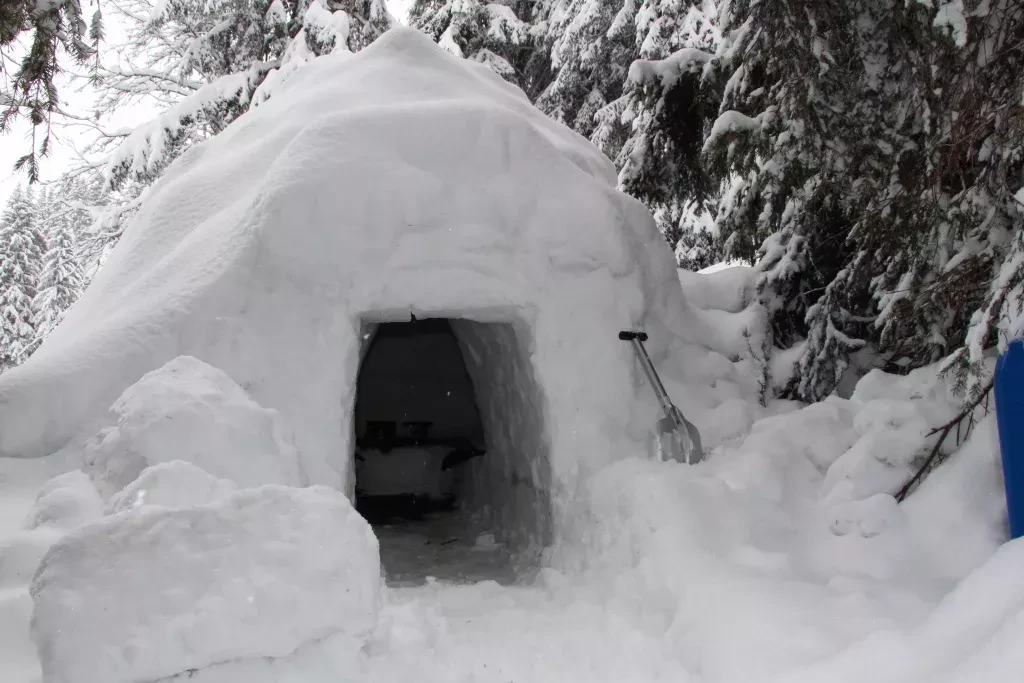 media-librarydqc00s2ivu4l4yj4shD