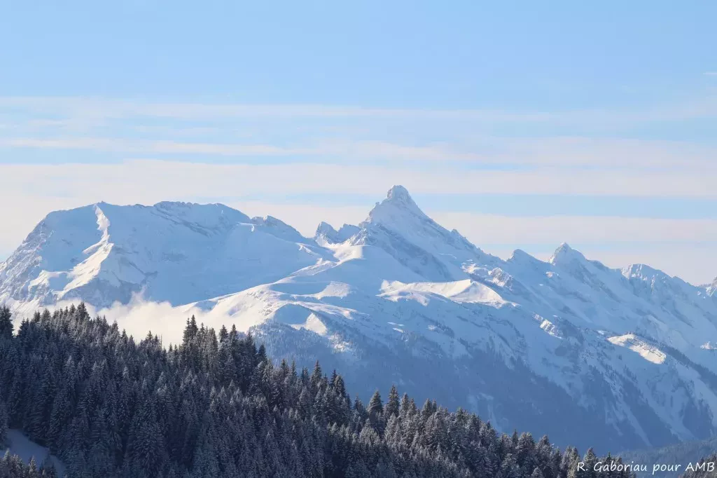 media-libraryiaibvvq4465l82arzlB