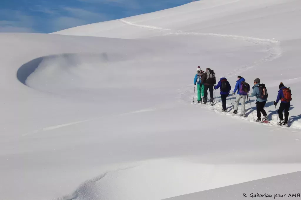 media-library9vh4vim497lg3hGs4lF