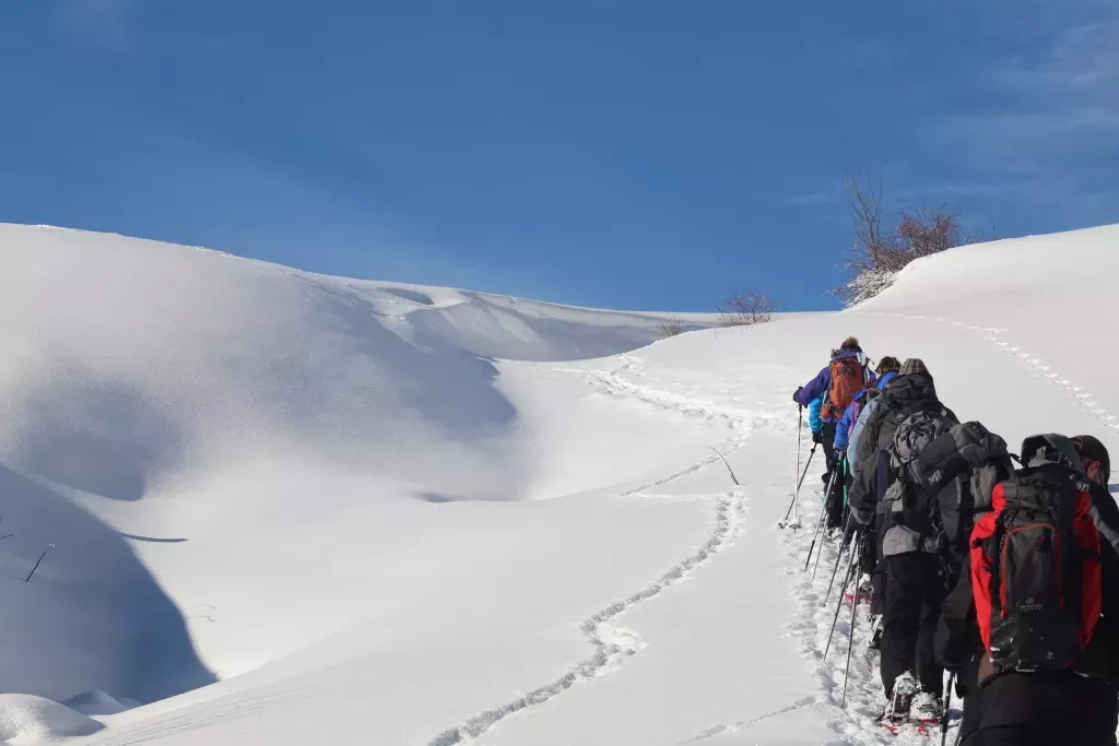 media-library6neu1mali083bsDpvkB