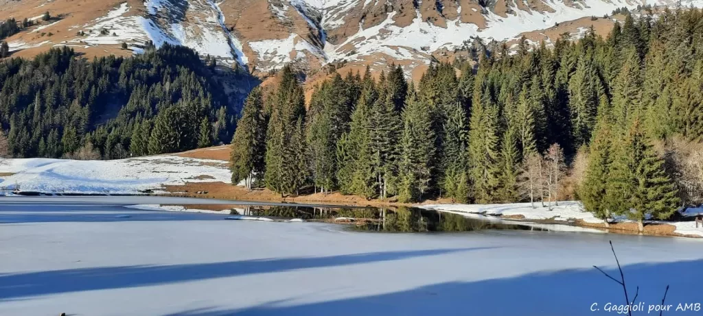 media-libraryqvbhfbfqj1vc6TQDsZB