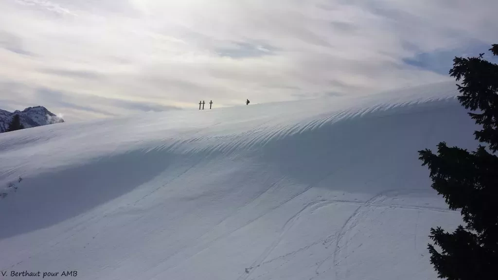 media-library06o5g9c5oma48kADG7D