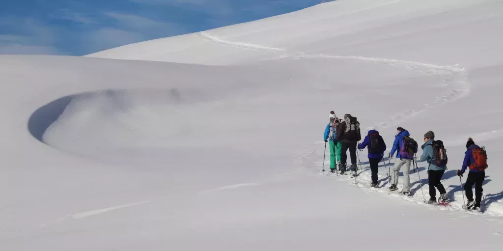 media-libraryn949lh1mi83n7Dj0nbC