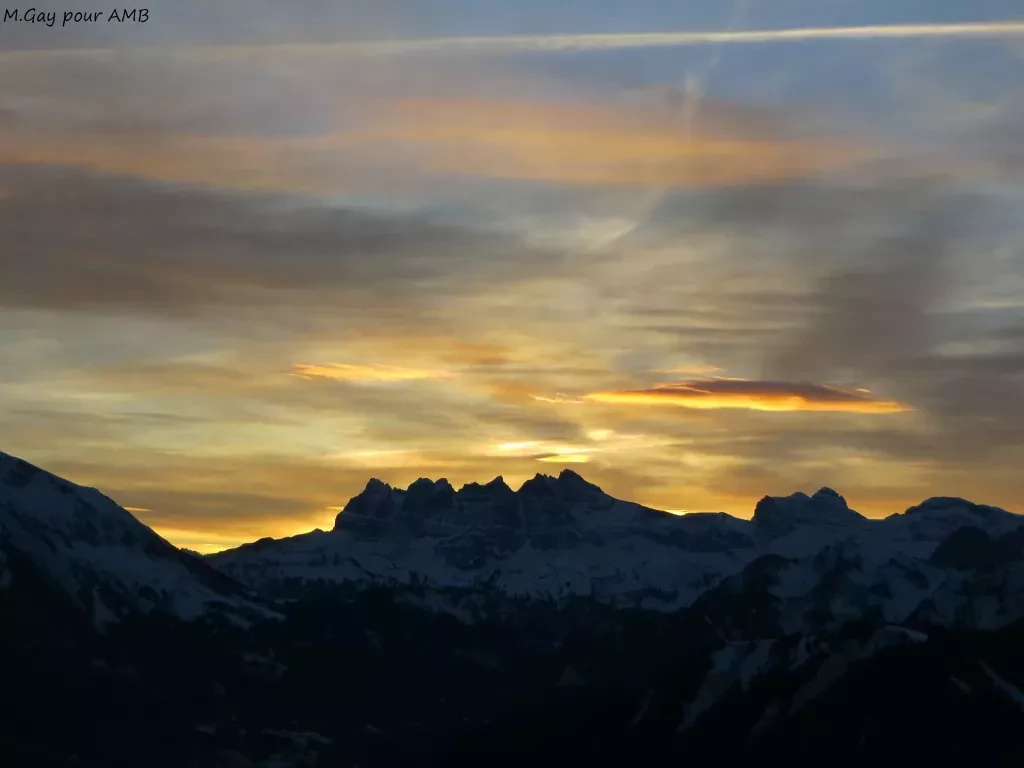 media-librarye1jescr0j51f6MNCrqB