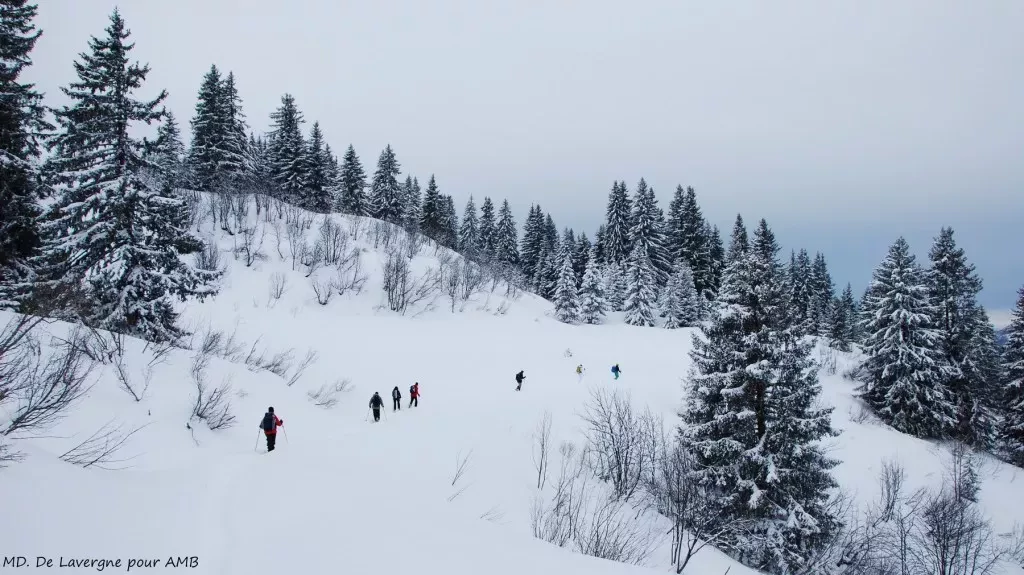 media-library75s2rr1tuhii9Uv72ZB